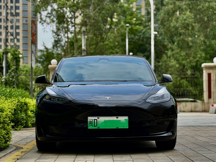 Tesla Model 3 2023 car image #2