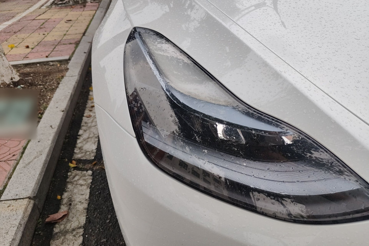 Tesla Model Y 2023 #8 Tesla Model Y 2023 car image #8
