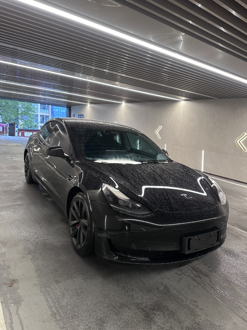 Tesla Model 3 2023 immagine di auto #5
