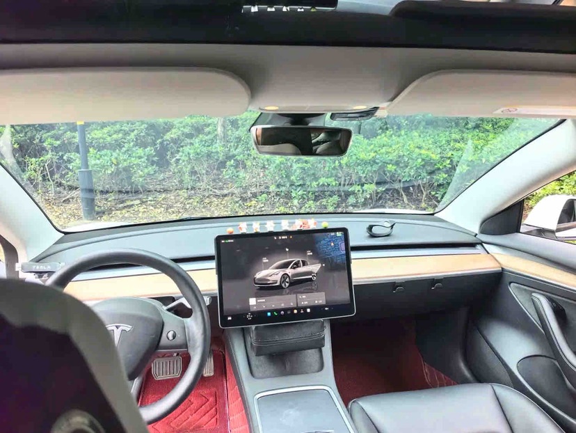 Tesla Model 3 2022 car image #6