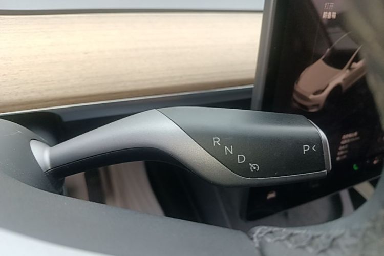 Tesla Model Y 2023 car image #14