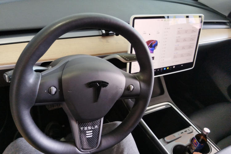 Tesla Model Y 2021 #10 Tesla Model Y 2021 car image #10