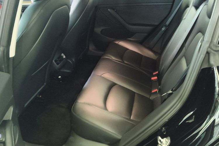 Tesla Model 3 2021 #17 Tesla Model 3 2021 car image #17