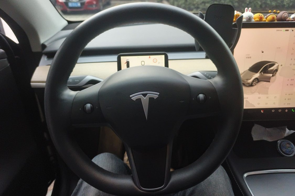 Tesla Model Y 2022 car image #24