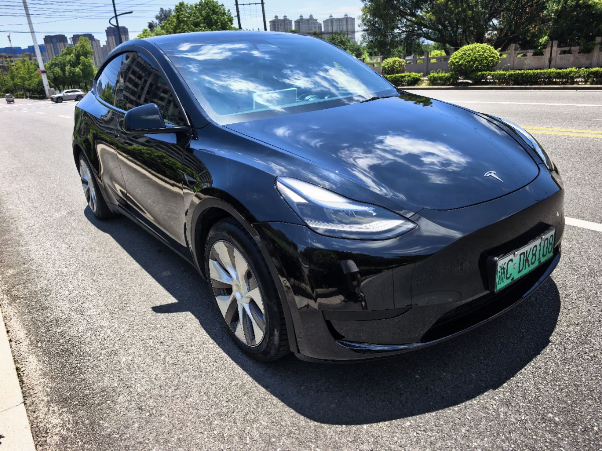 Tesla Model Y 2022 #2 Tesla Model Y 2022 car image #2