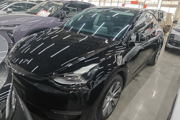 Tesla Model Y 2021 #2 Tesla Model Y 2021 car image #2