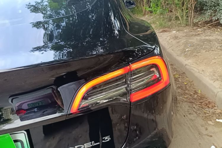 Tesla Model 3 2021 #8 Tesla Model 3 2021 car image #8