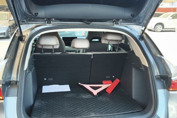 BYD Yuan Plus 2024 car image #19
