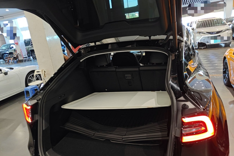 Tesla Model Y 2023 #19 Tesla Model Y 2023 car image #19