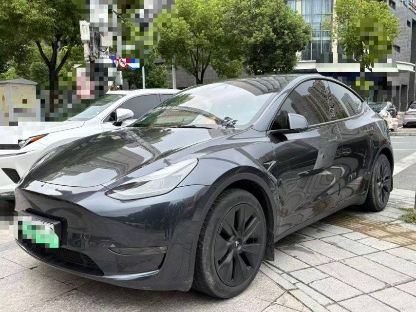 Tesla Model Y 2024 car image 