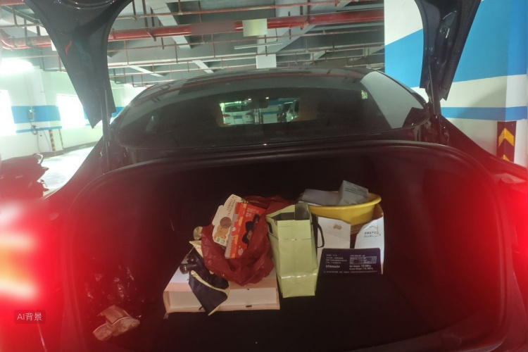 Tesla Model 3 2020 immagine di auto #21