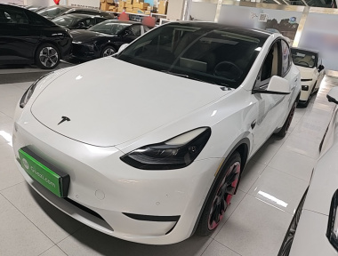 Tesla Model Y 2022 Tesla Model Y 2022 car image