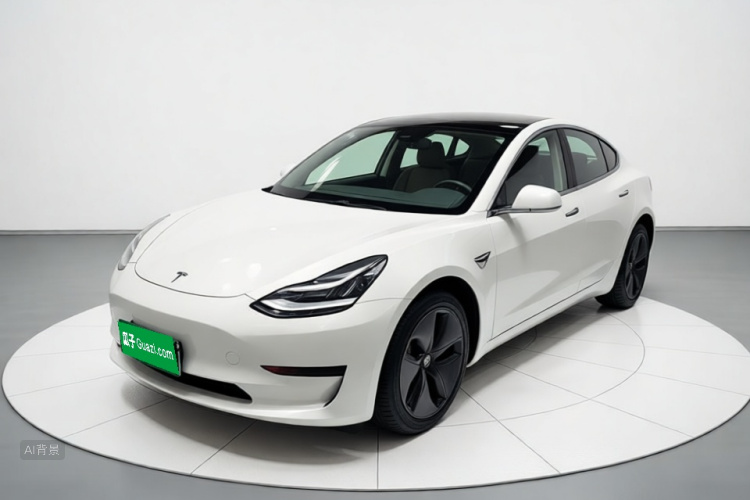 Tesla Model 3 2020 #2 Tesla Model 3 2020 car image #2