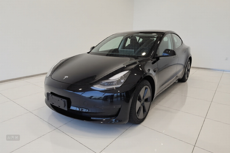 Tesla Model 3 2021 #2 Tesla Model 3 2021 car image #2