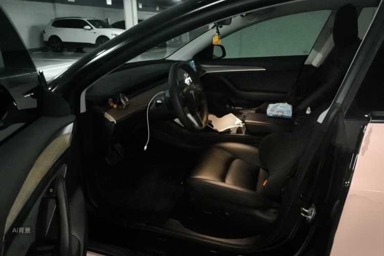 Tesla Model 3 2023 car image #18