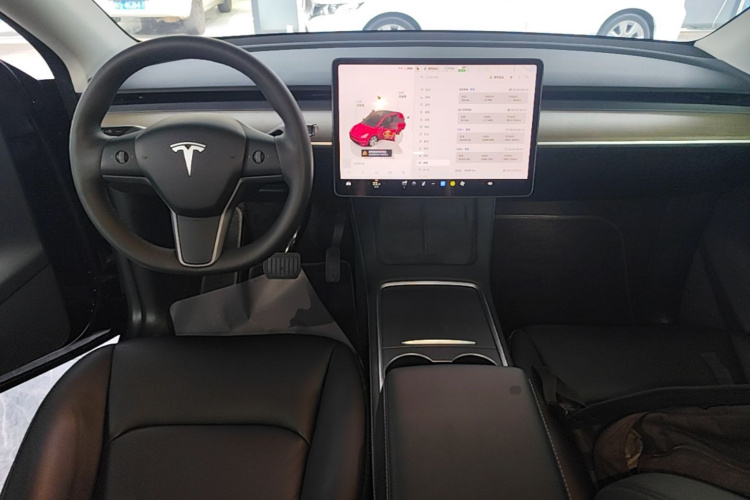 Tesla Model Y 2023 car image #10