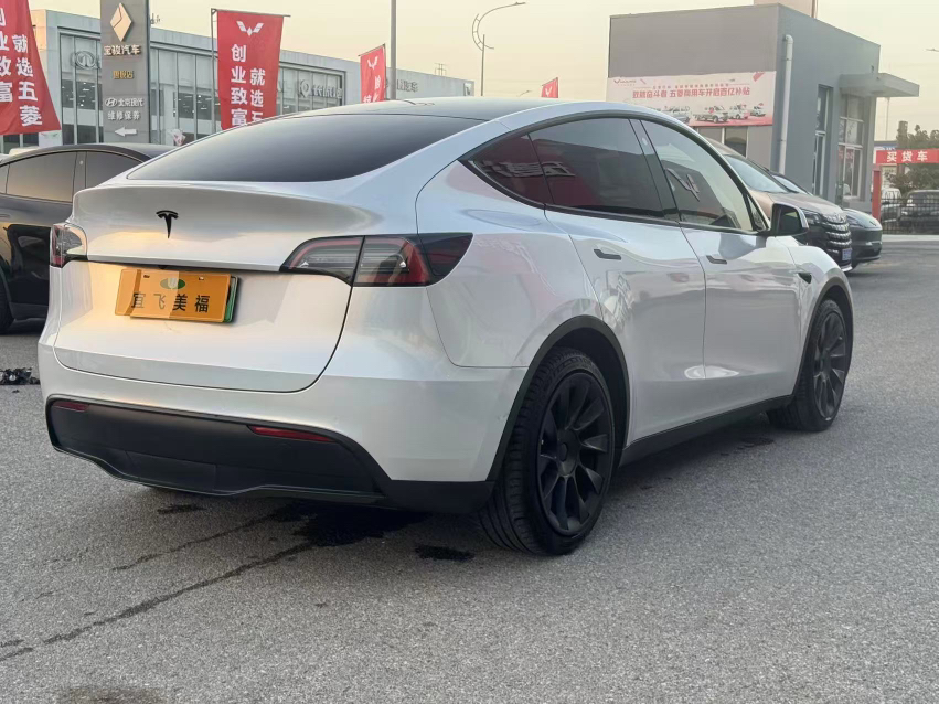 Tesla Model Y 2021 #5 Tesla Model Y 2021 car image #5