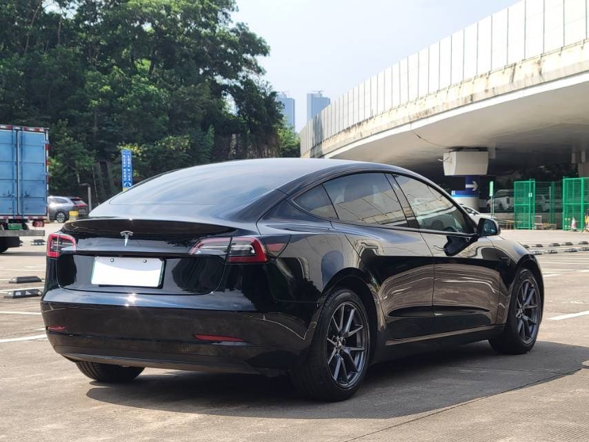 Tesla Model 3 2021 #3 Tesla Model 3 2021 car image #3