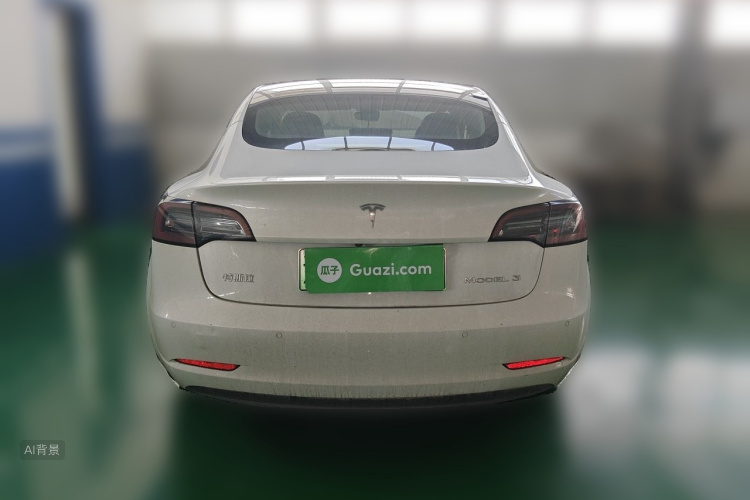 Tesla Model 3 2021 #6 Tesla Model 3 2021 car image #6