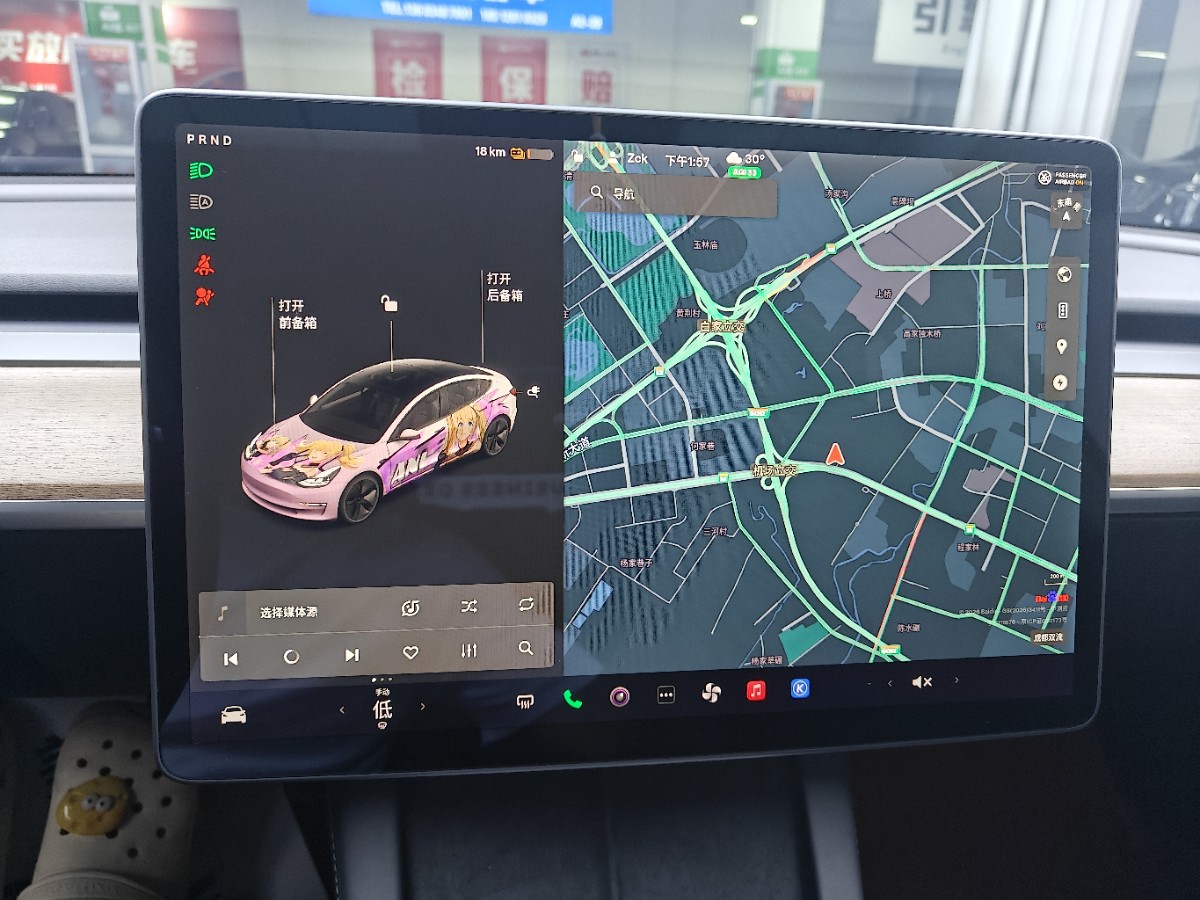 Tesla Model 3 2021 car image #12