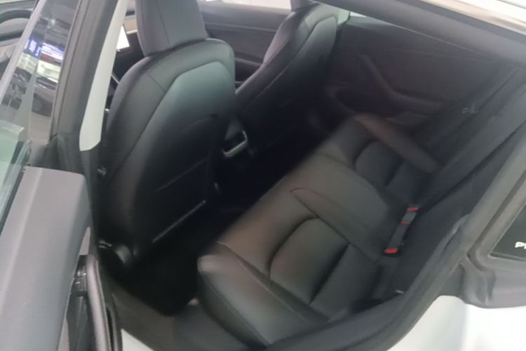 Tesla Model 3 2020 #17 Tesla Model 3 2020 car image #17