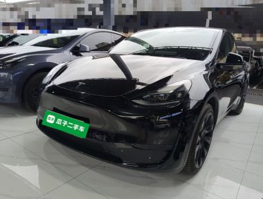 Tesla Model Y 2022 Tesla Model Y 2022 car image