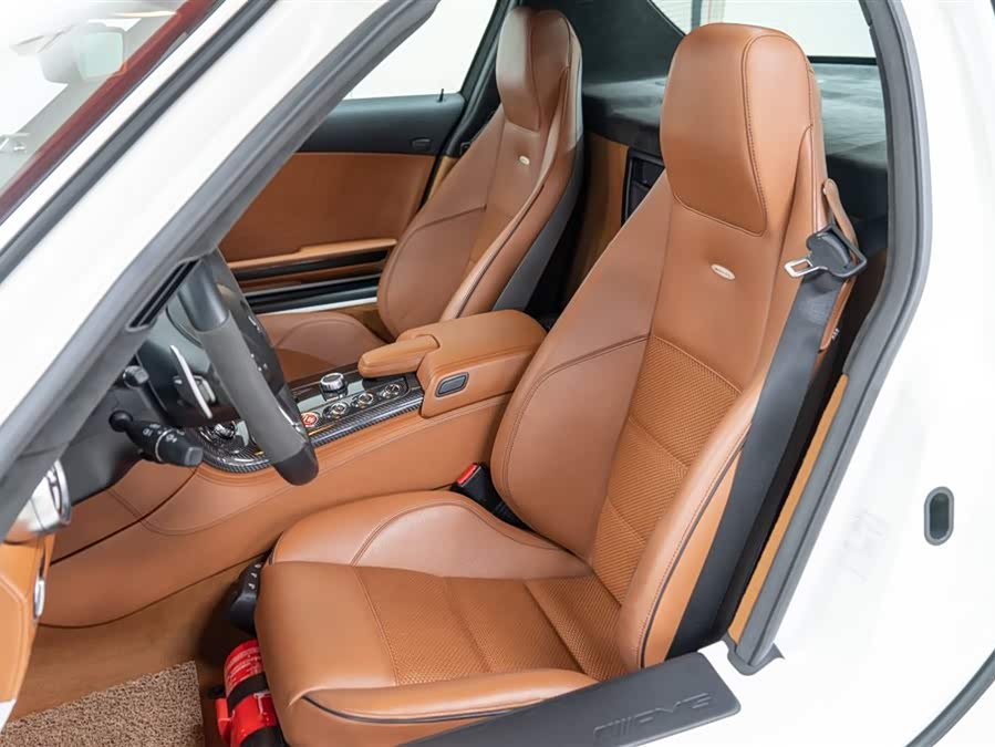 Mercedes-Benz SLS AMG 2010 #20 Mercedes-Benz SLS AMG 2010 car image #20