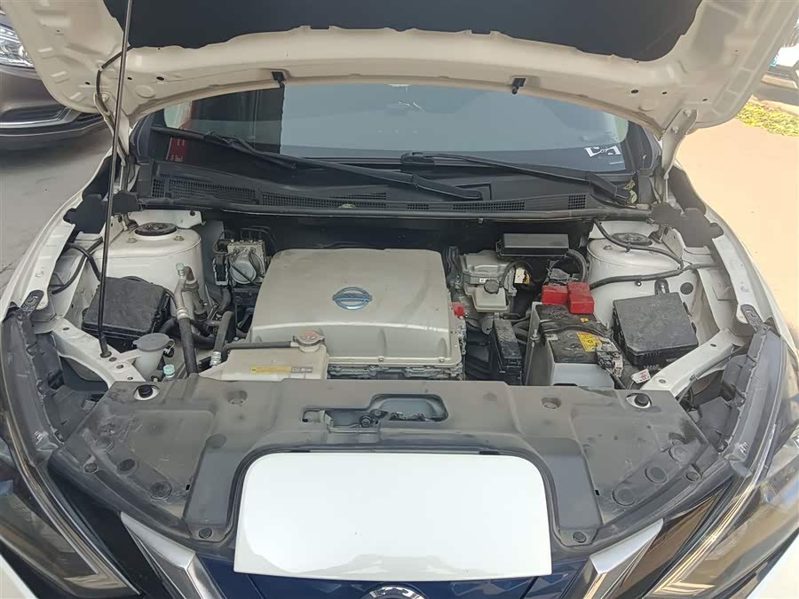 日产 轩逸·纯电 2019 汽车图片 #20