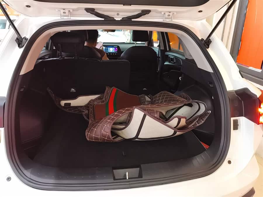 Haval Fierce Dragon 2024 car image #20