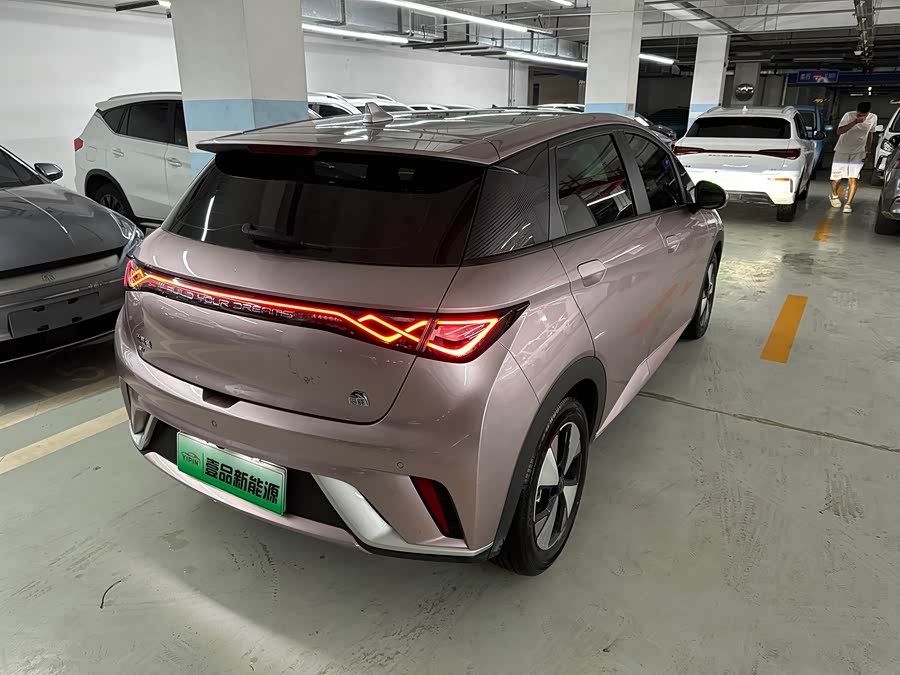 BYD Dolphin 2023 imagem de carro #20