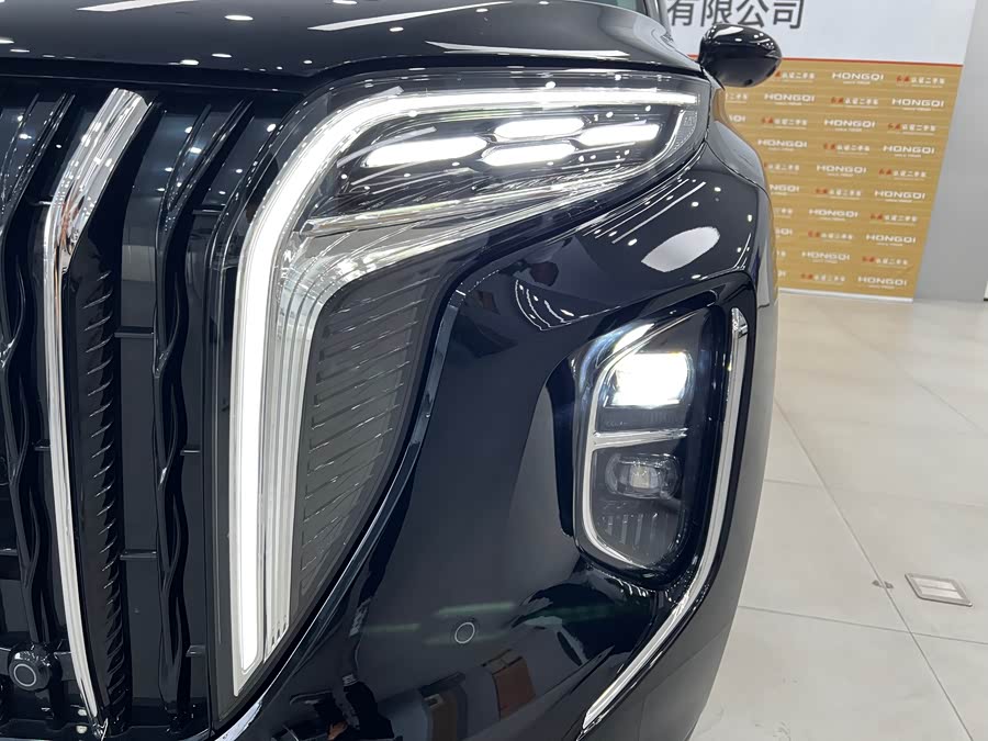 HongQi HS7 PHEV 2024 car image #20