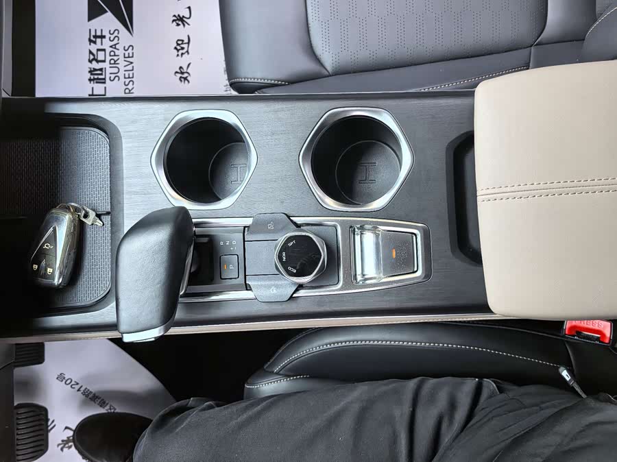 Changan CS55 Plus 2023 car image #20