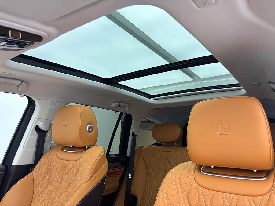 Tank 500 New Energy 2024 immagine di auto #20