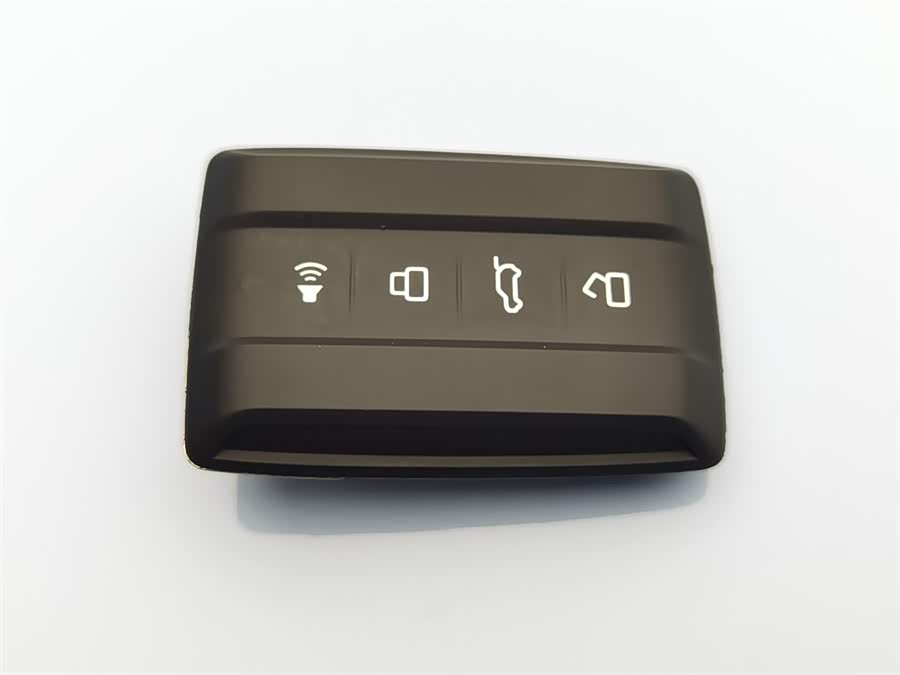 Tank 300 New Energy 2024 car image #20