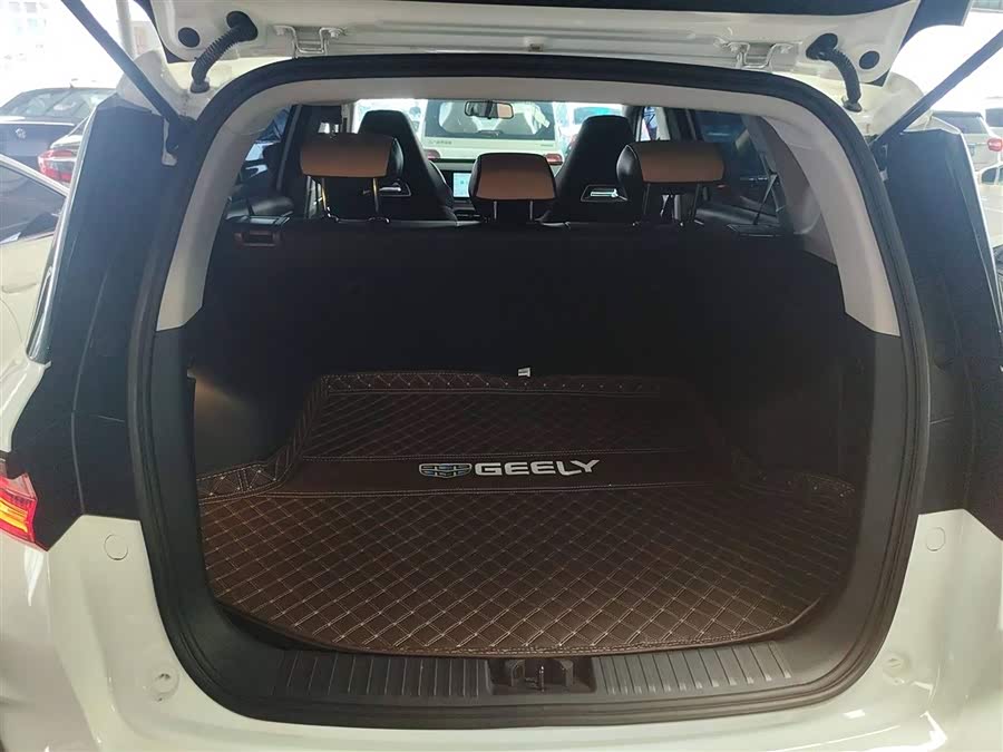 GEELY OkavangoPRO 2024 car image #20