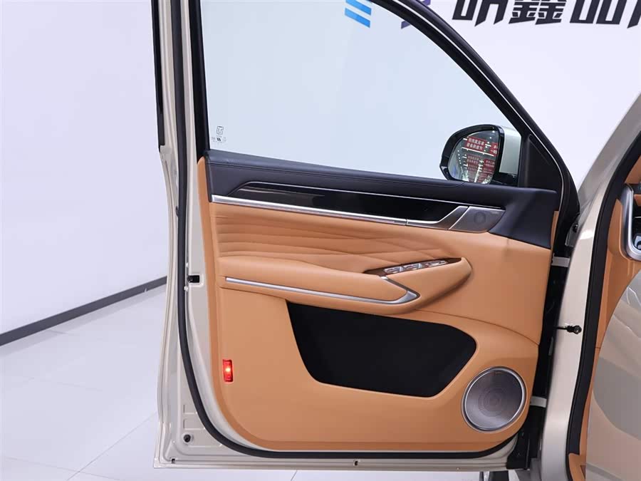 Tank 500 New Energy 2023 car image #20