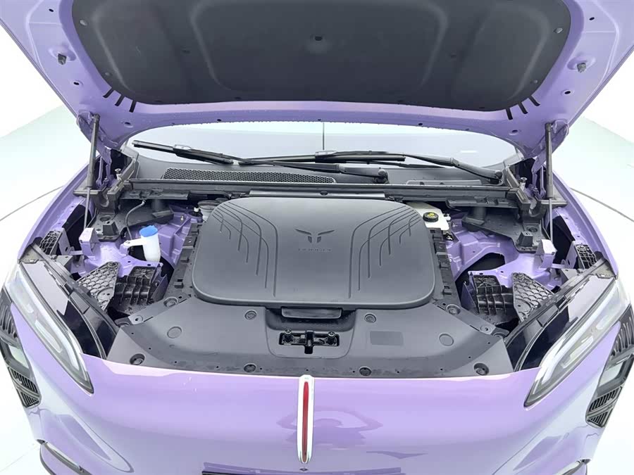 HongQi TianGong 08 2025 car image #20