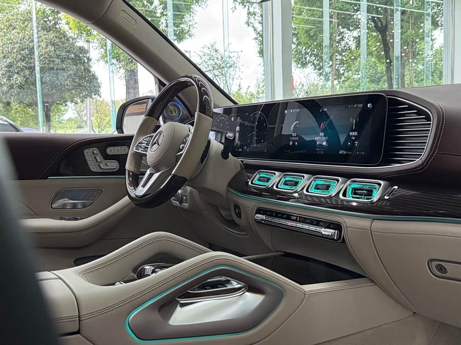 Mercedes-Benz Maybach GLS 2021 imagen de coche #20