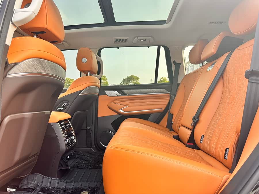 Tank 500 2022 imagen de coche #20