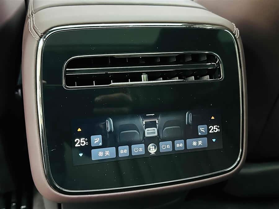 Denza Z9GT 2024 immagine di auto #20