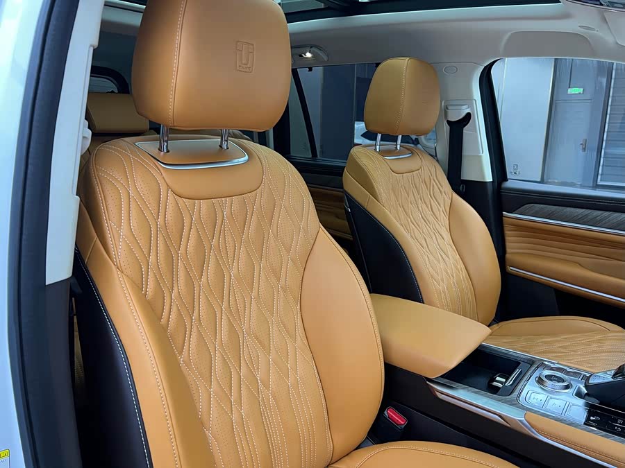 Tank 500 New Energy 2023 immagine di auto #20