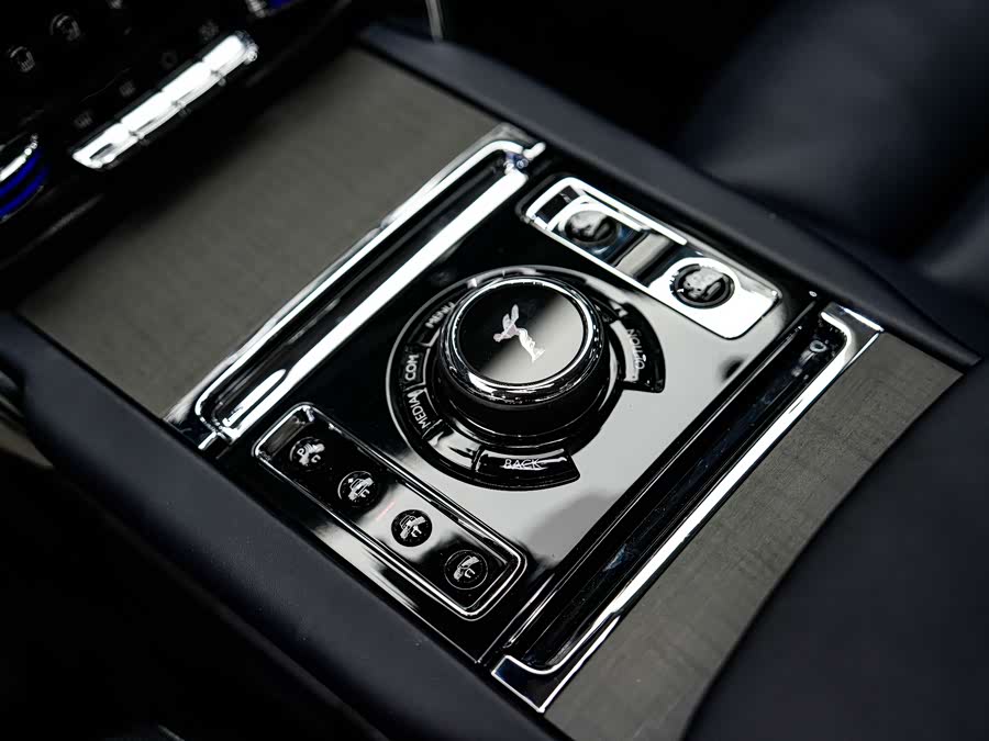 劳斯莱斯 库里南 2019 汽车图片 #20