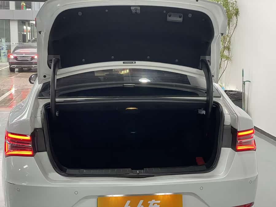 BYD Qin Pro New Energy 2019 car image #20