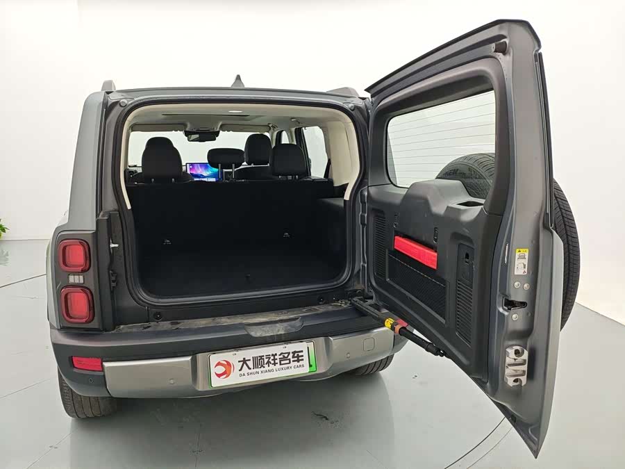 Haval Raptor New Energy 2025 car image #20