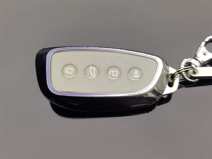 Haval Raptor New Energy 2024 car image #20