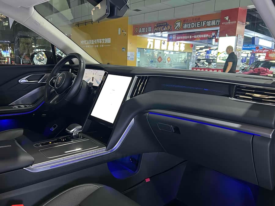 HongQi HS7 PHEV 2024 car image #20