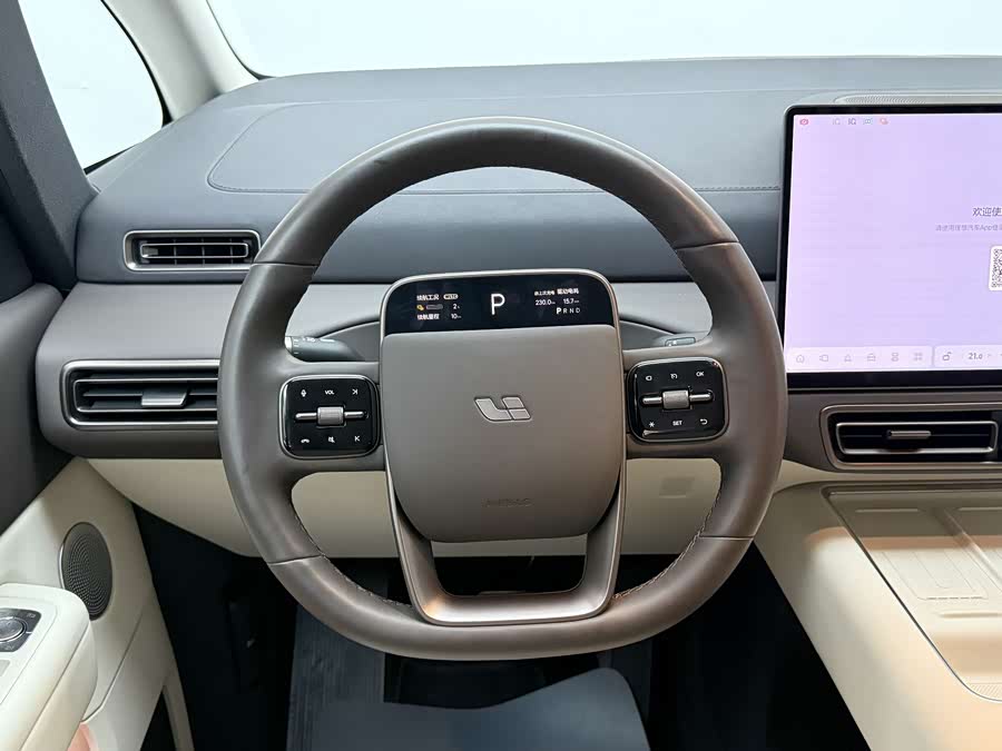 理想汽车 理想MEGA 2024 汽车图片 #20