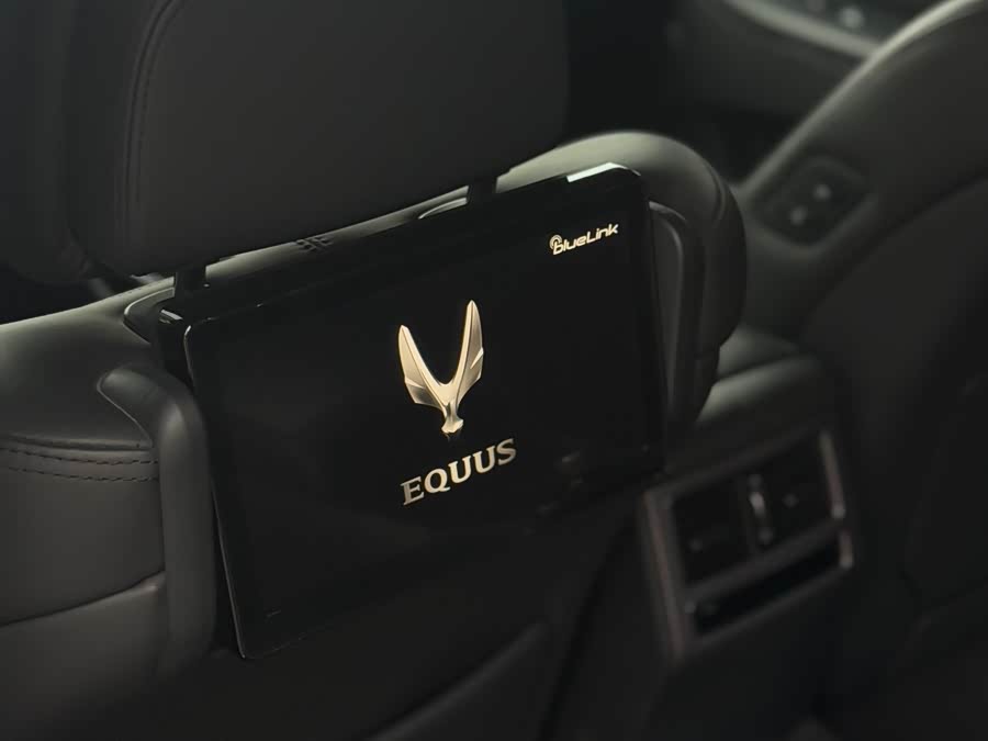 Hyundai Equus 2014 #20 Hyundai Equus 2014 car image #20