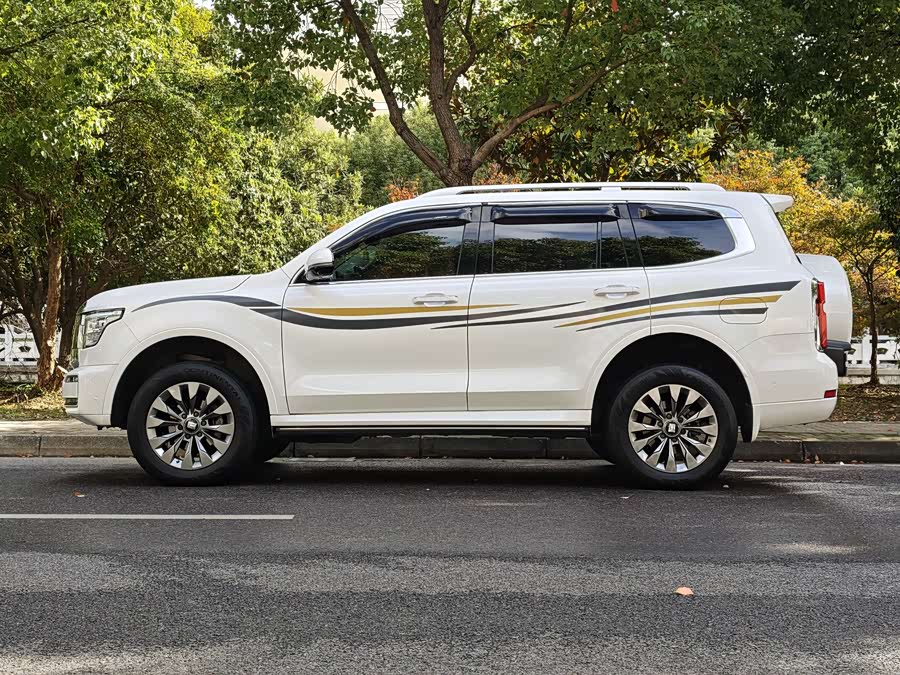 Tank 300 2021 car image #20