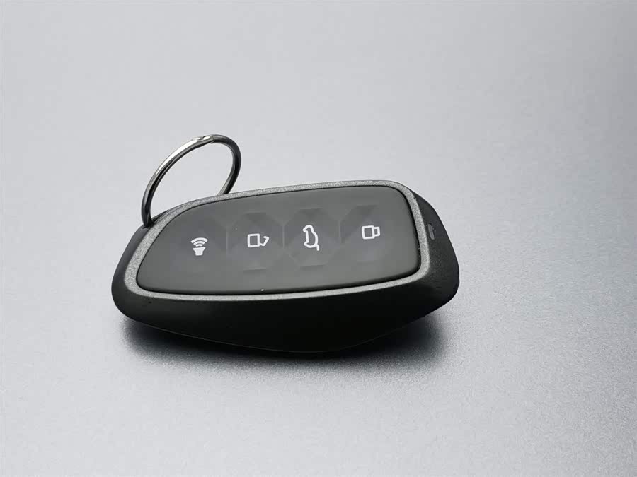 Haval Raptor New Energy 2024 car image #20